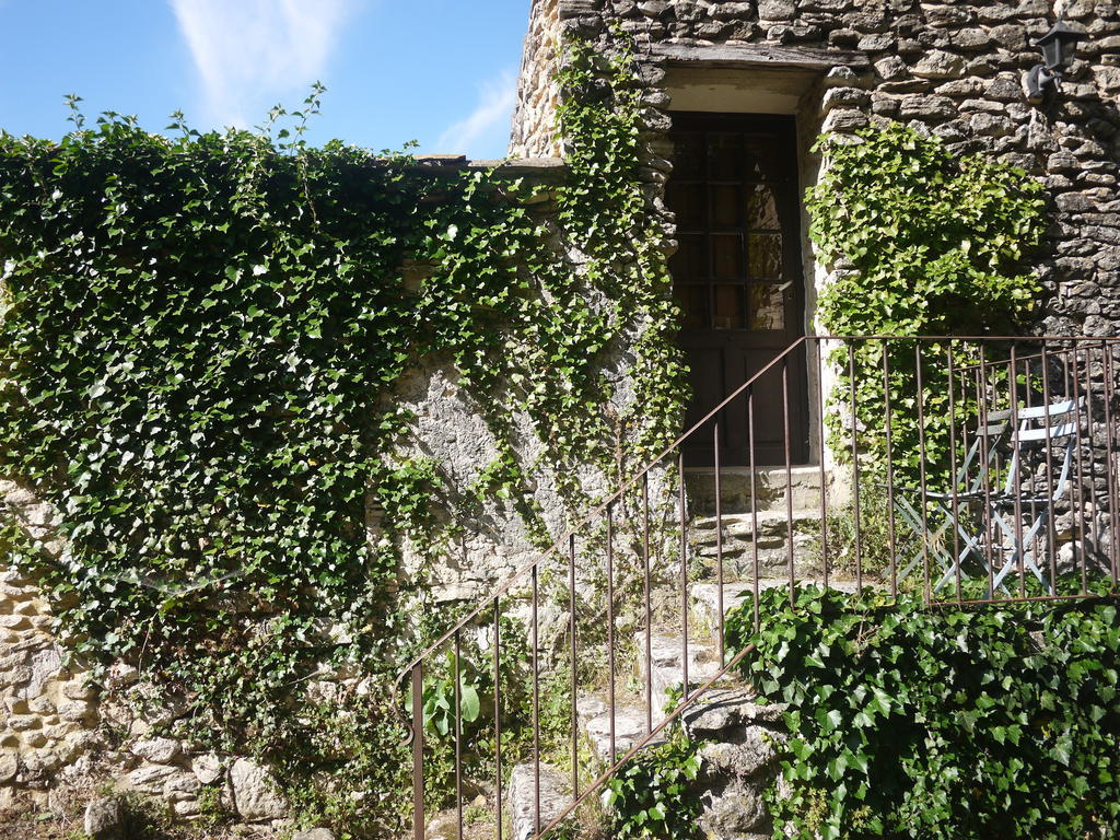 Auberge Des Seguins Buoux Cameră foto